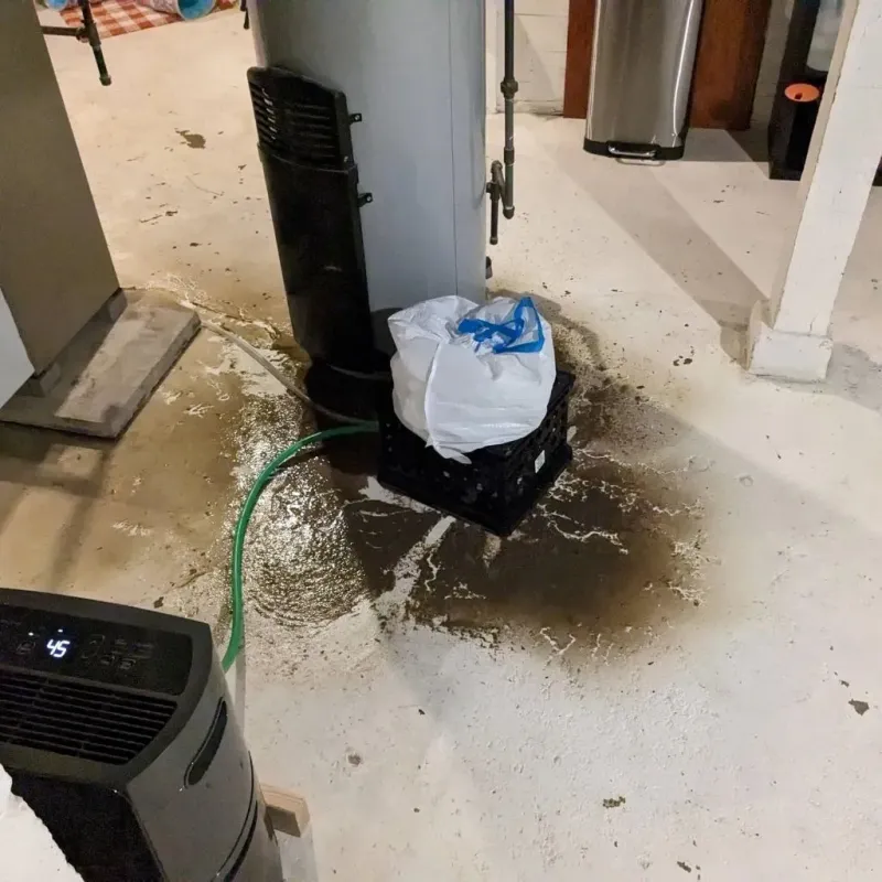 Sewage Backup Cleanup Service in Keyport, NJ